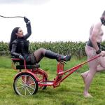 Ponyplay